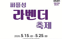 신안군, 퍼플섬 라벤더 축제 15일 개막