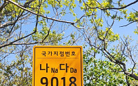 산악·해안 등 국가지점 번호판 일제조사...전남도와 진도군 마무리