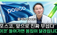 “리튬 가치 아직 주가에 없다”...포스코홀딩스 재평가 시작되나 [찐코노미]