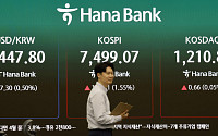 코스피 7000인데⋯체감은 "네카오 2000피, 반도체 1만피"