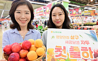 농협유통, 하나로마트 제철 맞은 햇자두·살구 첫 선봬
