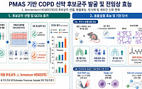 HEM파마, COPD 생균치료제 전임상 성과 네이처 자매지 게재…“폐기종 개선 확인”
