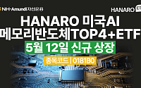 NH아문디운용, 미국 AI 메모리 반도체 TOP4 ETF 상장