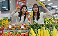 롯데마트, 기온 상승에 찰토마토·초당옥수수 출하 4주 앞당겨