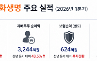 한화생명 “연간 CSM 순증 가능…배당 재개는 제도 개선 이후” [종합]