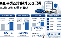 손보 분쟁조정 1분기 65% 급증⋯車보험 과실 다툼 커졌다