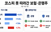 코스피 못 따라간 보험·은행주…주도주 장세에 밀린 금융 내 온도차