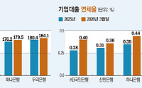 은행권, 경기 둔화에도 생산적금융 속도…커지는 건전성 딜레마