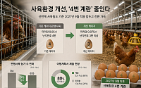 계란값 잡아야 하는데 닭장도 넓혀야…‘4번 계란’ 퇴출 딜레마