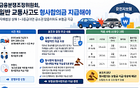 금감원 “상해 1~3등급 교통사고 형사합의금, 운전자보험서 지급해야”