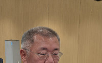 “중동 전쟁 우려 크다”…정의선 현대차그룹 회장, 사우디 공장 지연 첫 언급