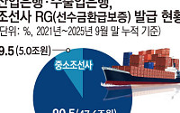 정부, 국책은행 RG 한도 확대 검토…중소 조선사 수주 병목 푸나