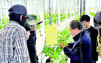 스마트팜 청년창업 교육생...고흥군 모집