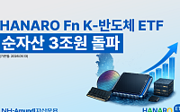 NH아문디운용, K-반도체 ETF 순자산 3조원 넘어⋯삼성전기가 수익률 견인