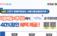 "2만원 주문에 8000원 할인?"… 서울사랑상품권·땡겨요 할인 혜택 강화