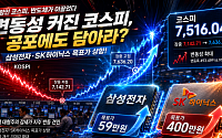 변동성 커진 코스피, 공포에 “담아라”?…삼전·닉스 목표가 59·400만원으로 상향