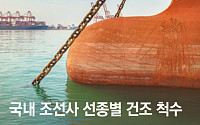 美 “동맹국 협력” 외치는데…범용 선박 부족한 K-조선 [조선 초격차 그림자]