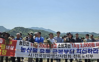 전북 양파농가, 가격폭락에 수확포기 위기