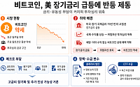 19년만의 美 장기채 금리 쇼크…비트코인 반등 기대 흔들
