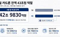 카드론 잔액 43조원 턱밑 유지⋯당국 관리에 증가세는 꺾여
