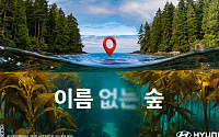 현대차, ‘이름 없는 숲’ 캠페인 전개…바다숲 보전 알린다 [사회공헌]