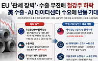 EU 관세 장벽·수출 둔화에 철강주 약세⋯美 수출·AI 데이터센터가 돌파구되나