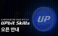 두나무, 자연어로 API 명령 돕는 ‘업비트 스킬’ 출시