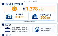 비트코인 쌓는 상장사들…DAT 경쟁, 이젠 운용 전략이다