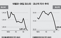 [베스트&amp;워스트]코스피, 대선 테마주 상승률 1~3위 차지