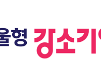 워라밸 최고 직장 어디?…서울시 '2027 서울형 강소기업' 50곳 모집