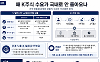 가격만 따라가는 K주식 토큰…과실은 해외 플랫폼서 챙겨 [K-주식 토큰화 거래]②
