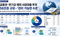 조용히 커진 해외사모대출…보험·연기금에 56조 몰렸다