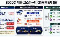 8000선 넘은 코스피, 달라진 시총 지도…개인이 외국인 빈자리 메웠다