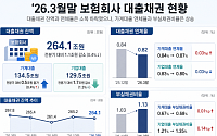 1분기 보험사 대출채권 264.1조원⋯연체율 소폭↓