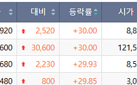 [급등락주 짚어보기] AI·양자컴퓨팅 관련주 상한가⋯SK네트웍스ㆍ삼화콘덴서 등 上