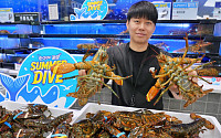 롯데마트, 캐나다산 활랍스터 15만 마리 반값 판매