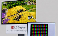 LG디스플레이, 240Hz RGB 스트라이프 OLED 본격 양산