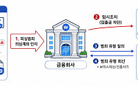 로맨스스캠·노쇼사기도 72시간 계좌 정지…금융권 피싱 차단망 넓힌다
