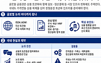 K주식 수요 국내로 끌어오려면…토큰화 인프라가 관건 [K-주식 토큰화 거래]③