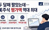 두 달째 팔았는데 美주식 평가액 역대 최대…서학개미가 담은 종목은