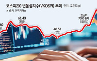 삼전·닉스 레버리지 출시 후 더 뛴 공포지수…VKOSPI 올해 평균보다 37%↑