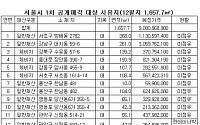 서울시, 알짜배기 토지 23필지 공개 매각