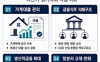 금융권 규제입법 줄줄이 대기…지배구조·망분리 손질 본격화 [다시 도는 입법시계]