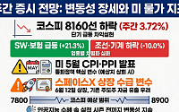 [주간증시전망] 코스피 고변동성 장세 속 8160선 마감…다음주 미 물가지표 주목