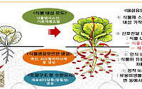 폭염에 말라가던 작물 살렸다…미생물제 쓰자 방울토마토 수확 21.4%↑