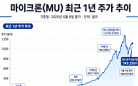 마이크론, 라이벌 SK하이닉스·엔비디아 동맹에도 조용히 웃는 이유