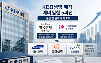 KDB생명 매각, 빅3보다 한투·태광에 쏠리는 무게
