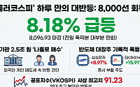 8160→7484→8096 '롤러코스피'…코스피 역대 최대 상승인데 공포지수도 사상 최고