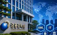 AML·IT 감독 강화에 촉각⋯금감원, 금융사 해외사업 점검