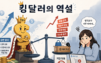킹달러의 역설...‘가성비’ 찾던 해외 직구족, 속속 지갑 닫는다